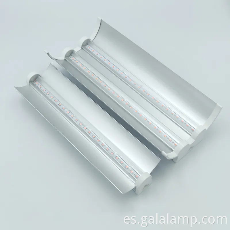 Luz de cultivo LED de espectro T8 completo para el crecimiento de las plantas interiores